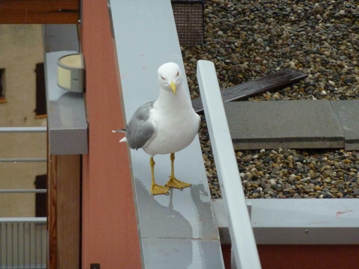 "Bien Vivre Ensemble" Aux Marches Du Soleil - Chambres Privees Chez L'Habitant Dans Appartement Partage Sète Exterior foto